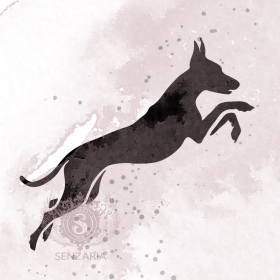 Трафарет - Фараонова собака 3