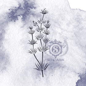 Трафарет - Хара